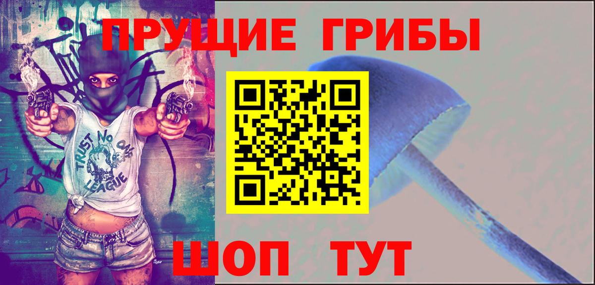 закладка  Вход с VPN  Соль-Илецк  Псилоцибиновые грибы Psilocybe 