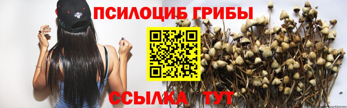 Галлюциногенные грибы мицелий Соль-Илецк